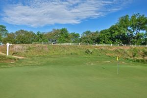 Darmor 2nd Green